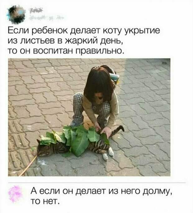 5fa91f4ba9e221d54f0233f882fa1d35.jpg