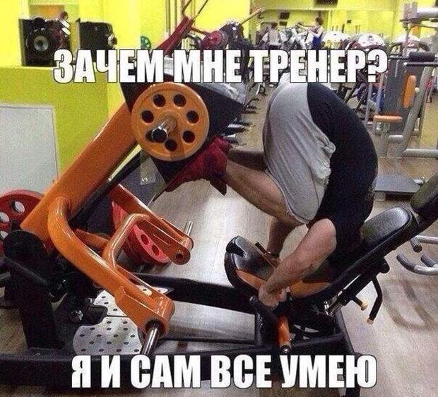 Смешные картинки с подписями