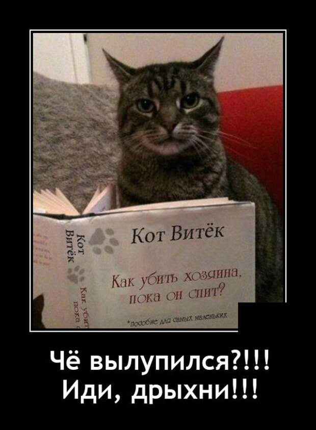 Демотиваторы 6 сентября 2021 года