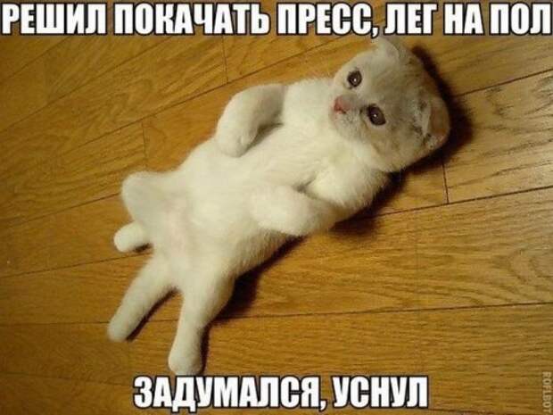 Прикольные картинки (45 шт)