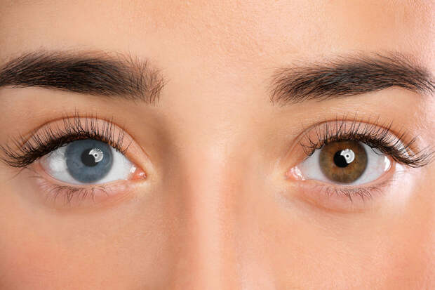 Cognition: движения глаз помогают извлекать информацию из памяти