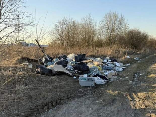 Сотрудники прокуратуры нашли незаконную свалку рядом с поселком Тельмана