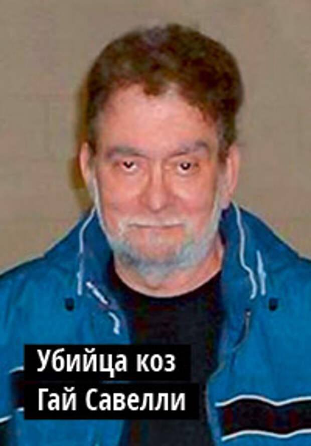 Куда приводят козлы Куда приводят козлы