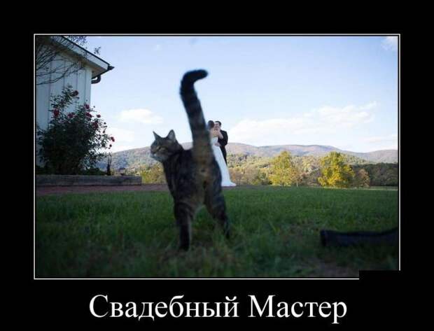 Свежие демотиваторы на воскресенье (10 фото) Свежие демотиваторы на воскресенье (10 фото)