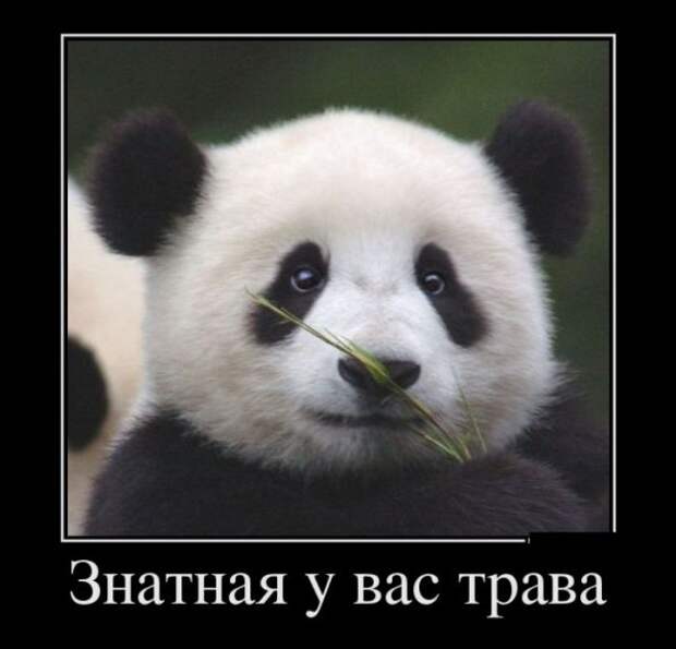 Обо всём.