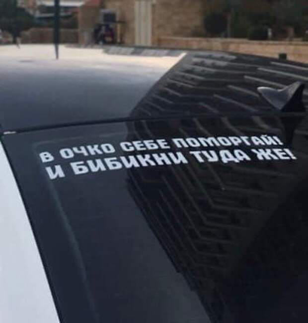 205562_2_trinixy_ru.jpg