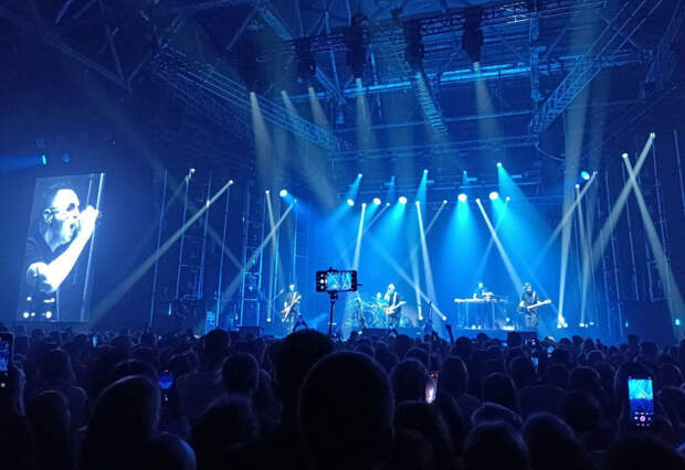 Звери 16 августа купить билет и увидеть грандиозное шоу