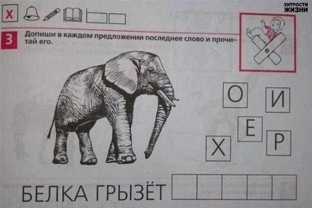 Это же голову поломать, чему учат сейчас в Российских школах! домашнее задание, образование, россия, школа