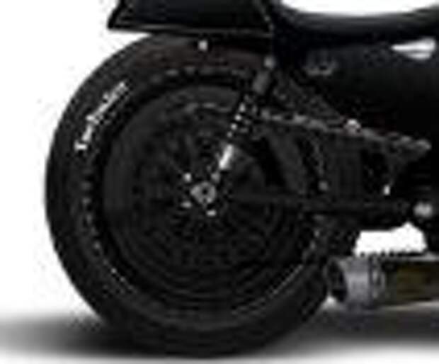 H-D Sportster Technics от Roland Sands