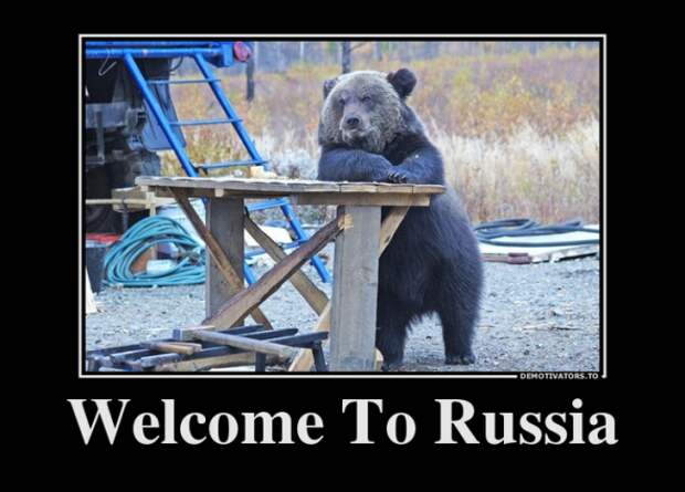 Немного новых демотиваторв