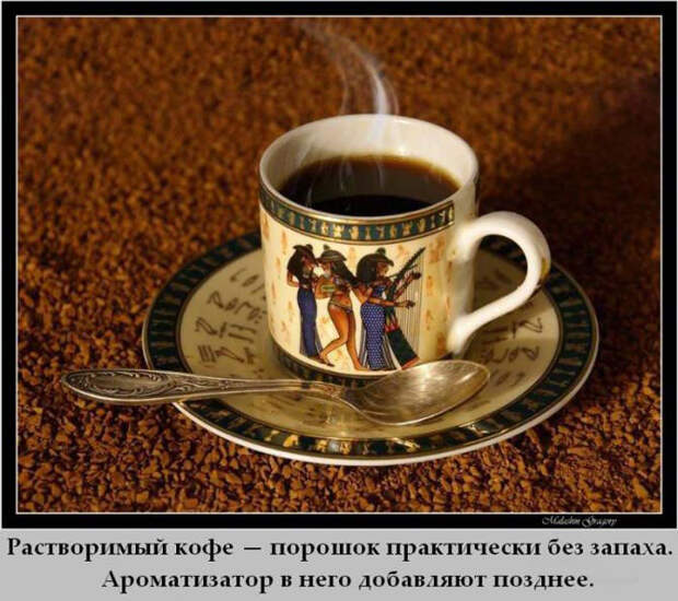 Интересности обо всем