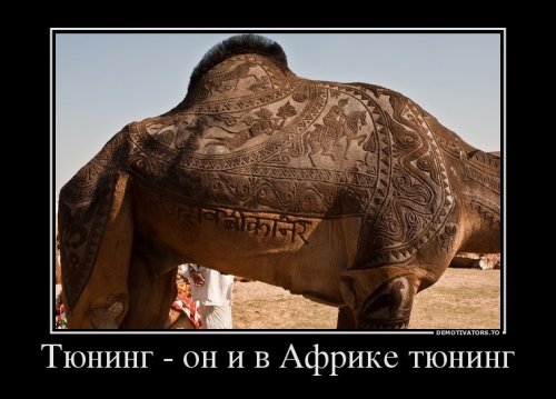 Свежие демотиваторы-приколы (28 шт)