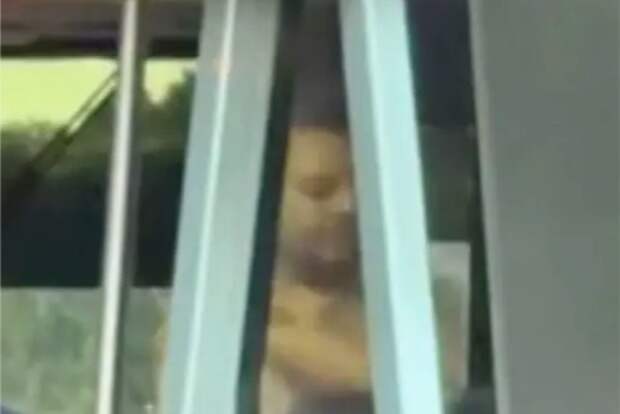 Турист станцевал стриптиз на глазах у семей с детьми в парке развлечений в США