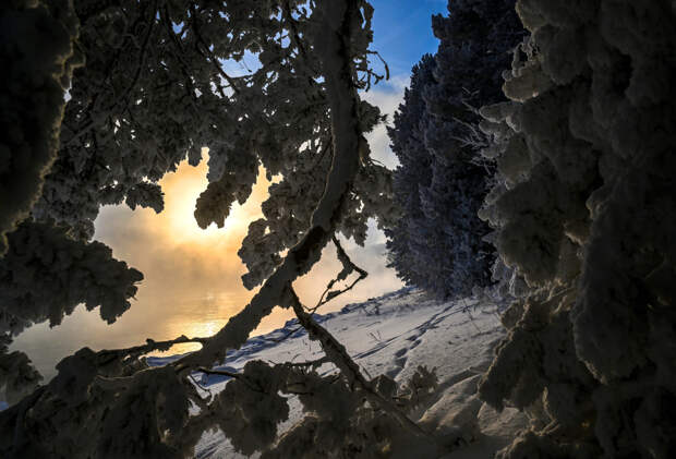 Появились подробности о странном звонке сыну Усольцевых после исчезновения родных