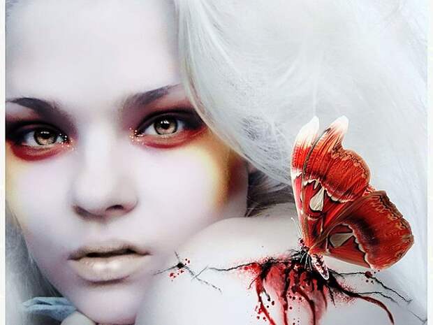 3d butterfly Bilder und coole Wallpaper