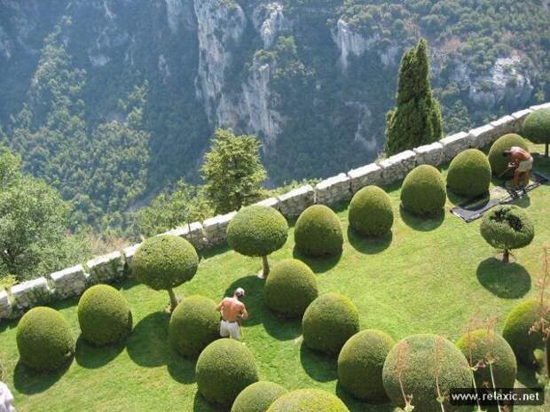 nature_017