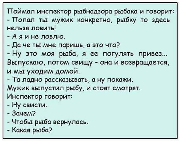 Свежая порция позитива: 12 уморительных анекдотов и историй