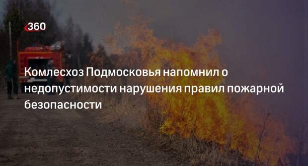 Жителям Подмосковья напомнили о недопустимости поджога травы