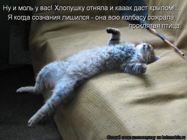 Ну и моль у вас! Хлопушку отняла и кааак даст крылом!... Я когда сознания лишился - она всю колбасу сожрала, проклятая птица.