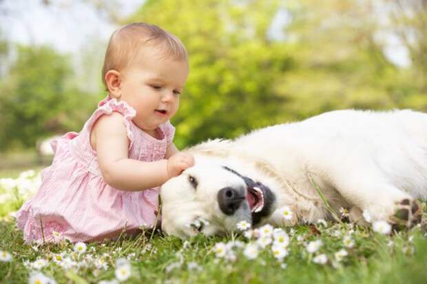 Dog for Baby