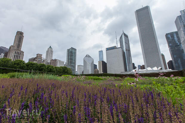 Чикаго. Millennium Park и Navy Pier / Фото из США