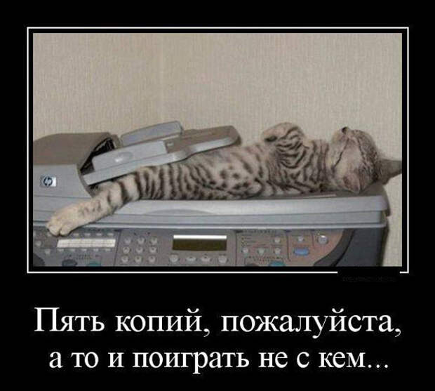 Веселые демотиваторы со смыслом (12 фото) Веселые демотиваторы со смыслом (12 фото)