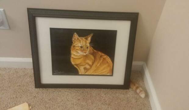 Неотразимые котэ