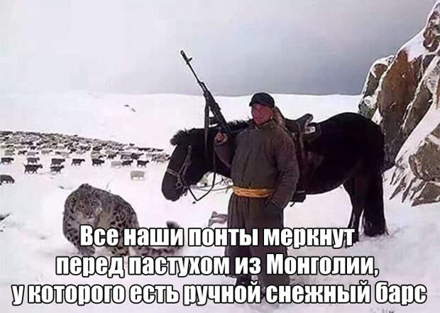Приколы и прикольные картинки Подборка прикольных фото, подборка приколов, приколы, прикольное фото, прикольные картинки