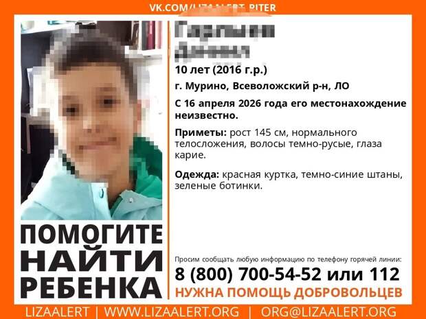 В Мурино пропавший мальчик не отвечал на звонки мамы, но написал ей сообщение