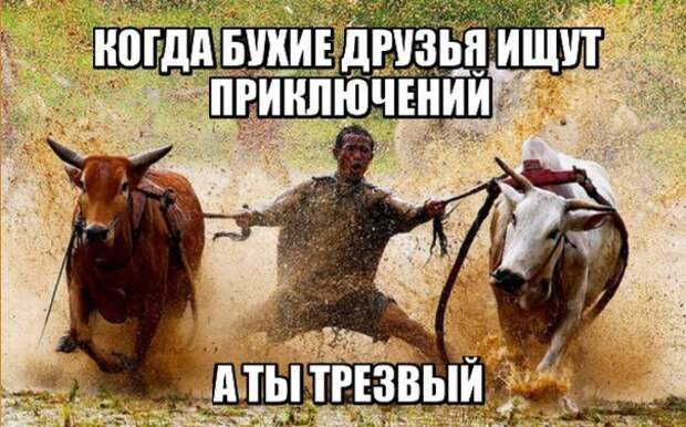 смешные картинки с надписями