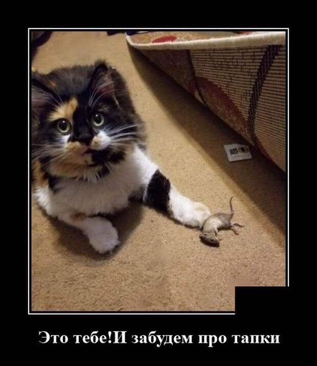 demotivatory-demotivator-smeshnye-demotivatory-demotivator-so-smyslom