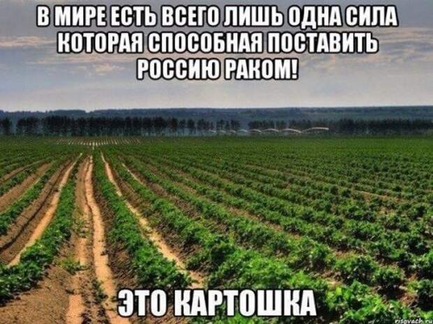 Прикольные фотомемы (25 шт)