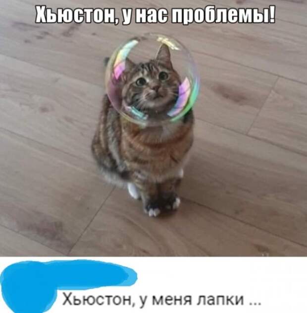 Прикольные картинки абавсём:D