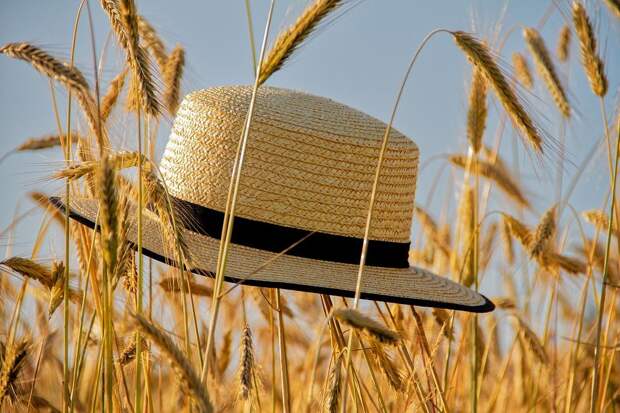 Зерно, пшеница, соломенная шляпа, фото Pixabay
