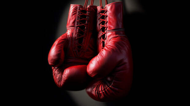 «Точечные удары»: экс-супруга боксера Дмитрия Бивола устроила ему кибертравлю