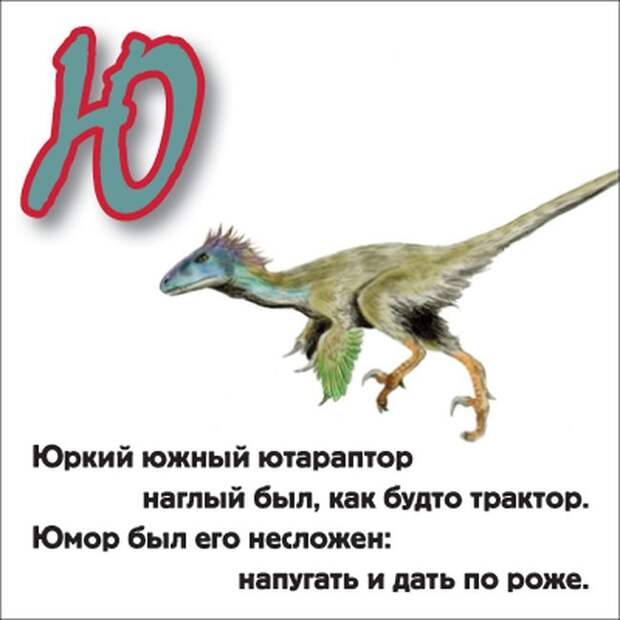 Животное на букву ю. Зверь на букву ю. Название зверя на букву ю. Загадки про животных на букву ю.