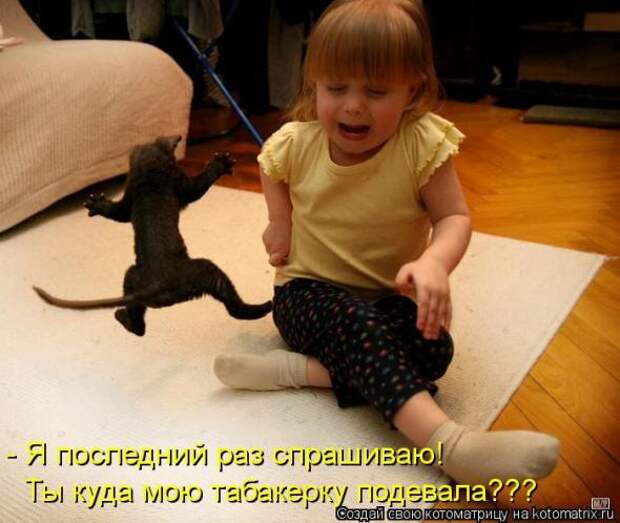 Котоматрицы(картинки с надписями)