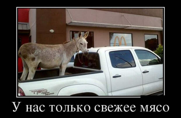 Демотиваторы (30 фото)