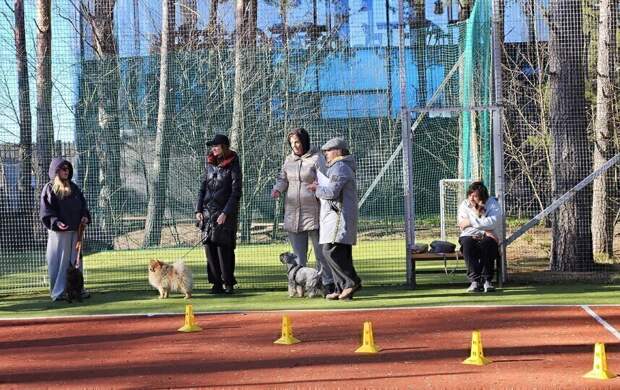 В Ленинградской области Роскачество сертифицировало первый отель по стандарту pet-friendly