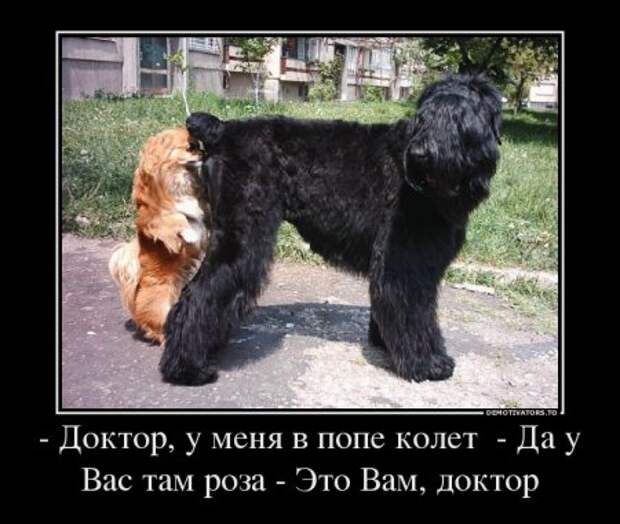 Демотиваторы и приколы атакуют!!!