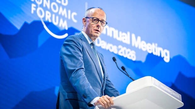 Лидер АдГ Вайдель: Мерц выставил себя посмешищем в Давосе