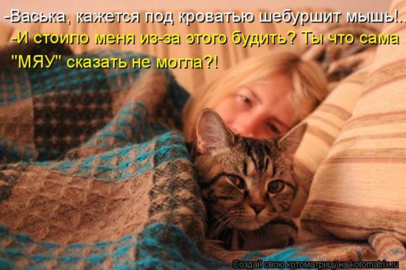 Котоматрицы(картинки с надписями)