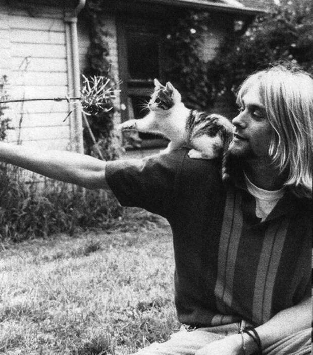 cats