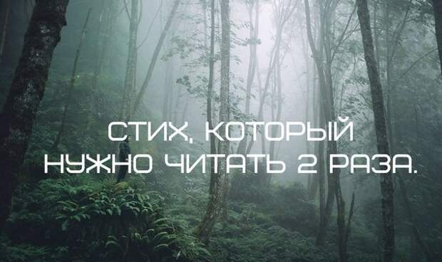 Потрясающий стих! Обязательно прочитайте его два раза. Почему именно два? Потрясающий стих! Обязательно прочитайте его два раза. Почему именно два?