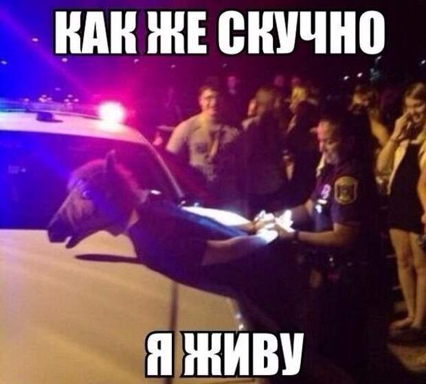 Cb2xvAZlyEM