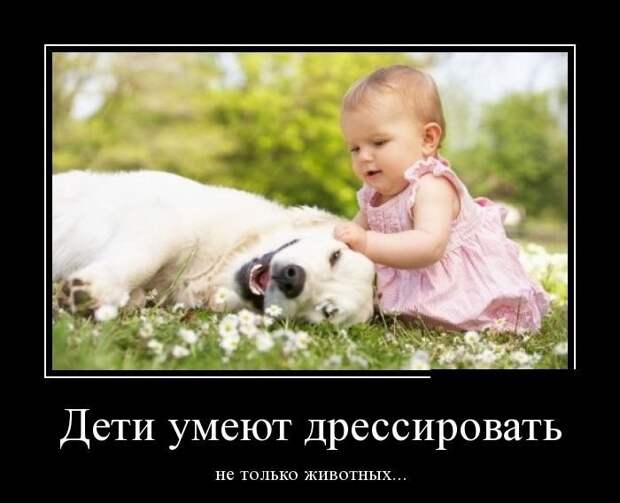 Новые демотиваторы на среду