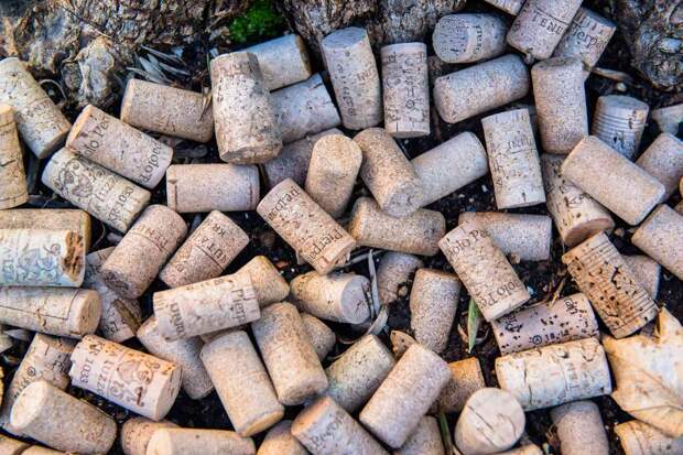 Что делать с винными пробками: как корковая пробка помогает саду и даче