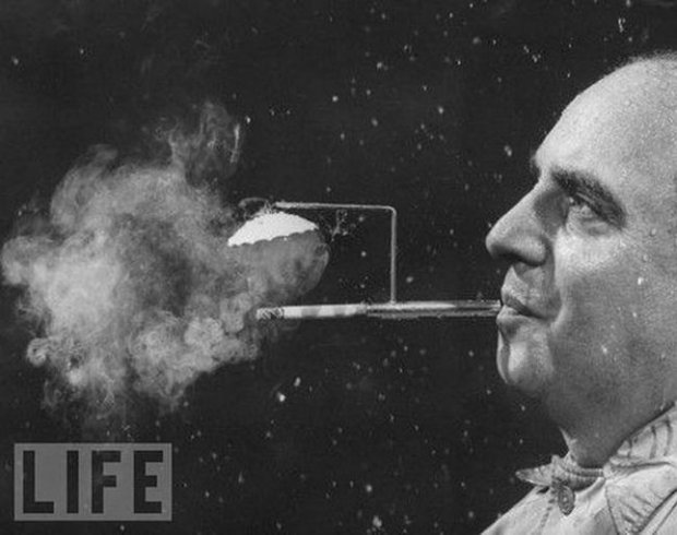 Фото: news.distractify.com
