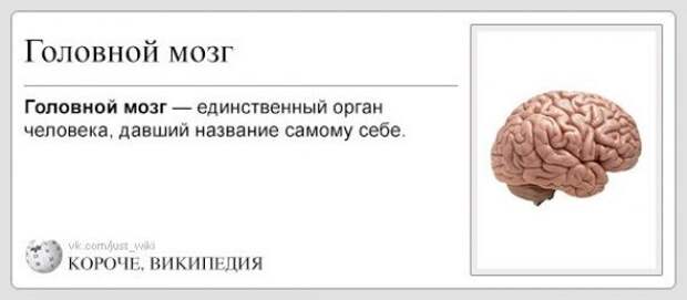 Короче, Википедия
