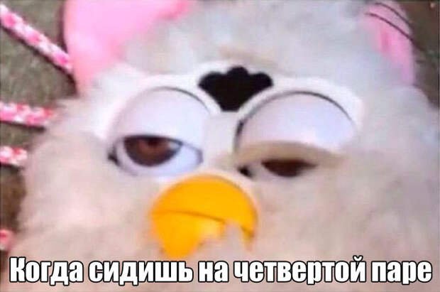 1473358773_62